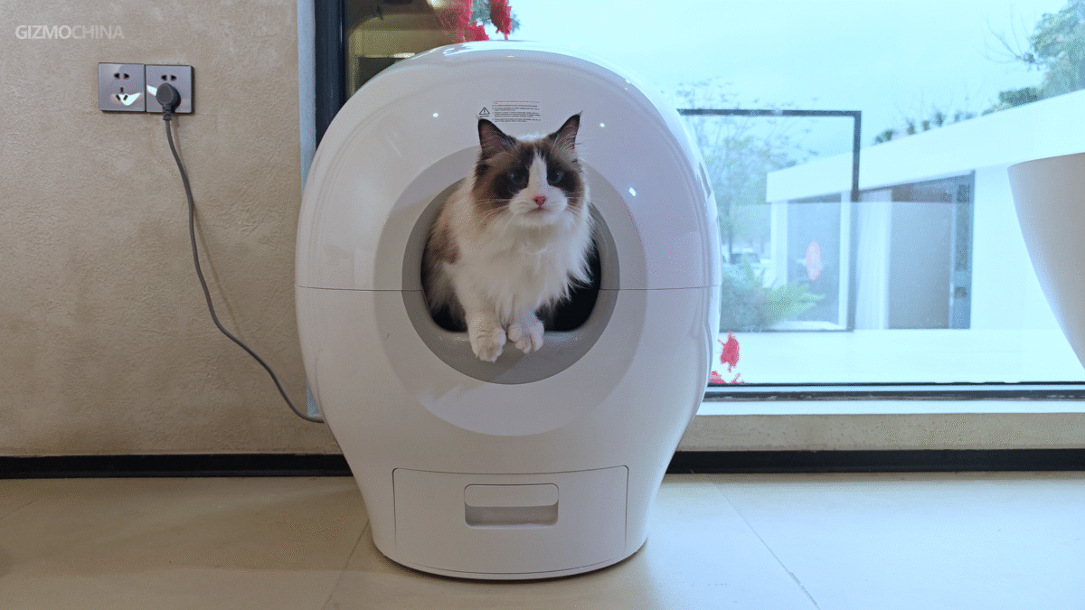 Akıllı Kedi Kamerası İncelemesi