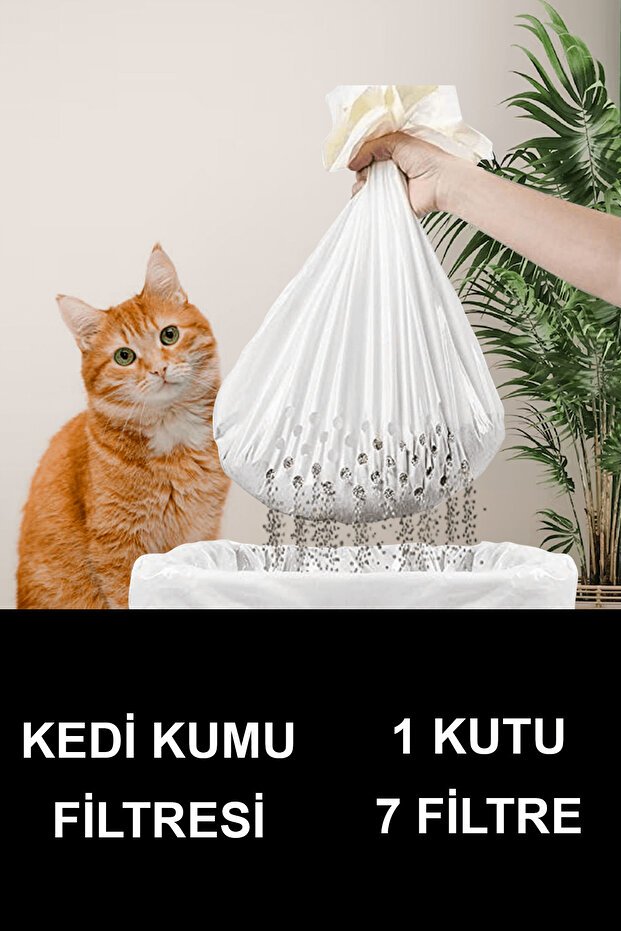 Kedi Kum Temizleme