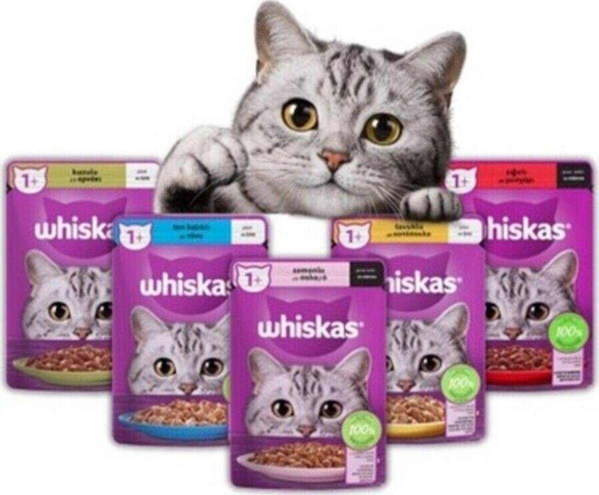 Tahılsız Kedi Mamaları